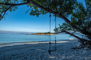 rustic Swing at tree on the sand  beach