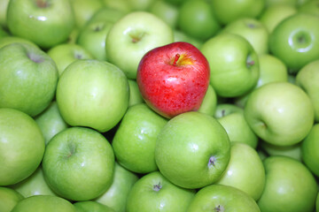 Red apple on a pile of greens in the market
