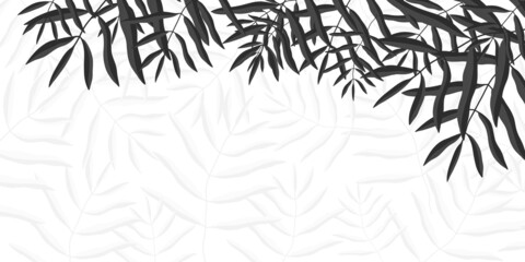 black and white background with palm leaf