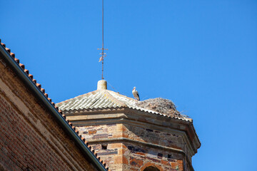 Nesting European storks on a cathedral tower with beautiful sunlight in a village in southern...