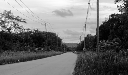 Estrada Coronel Joaquim Branco
Colonel Joaquim Branco Road