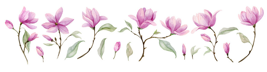 Watercolor pink Flowers. Hand painted illustration of blooming purple Magnolia. Botanical set for wedding invitations or postcards © Alisles