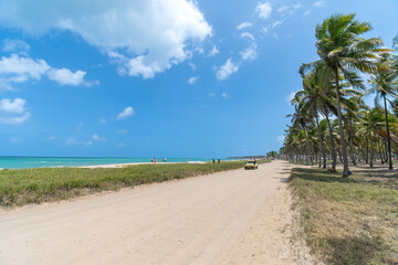Maracaipe beach on a beautiful sunny day, brazilian northeast coast, at Ipojuca - PE, Brazil. Sandy road between coconut trees and the beautiful sea.