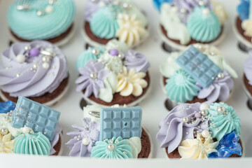 Set of winter style chocolate cupcakes with whipped cream on top decorated with candies in the white box on the white background