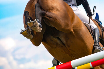 Horse Jumping, Equestrian Sports, Show Jumping event themed photograph