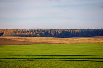 landscape in autumn