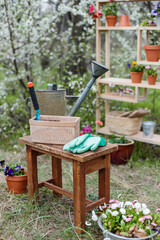 Garden work still life in spring and summer. Flowers, gloves and a watering can on a wooden stand, outdoor on a sunny day with flowers blooming on the background.