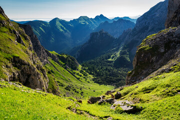 Wild alpine landscape with rocky mountains, grass and forest at a beautiful summer day. Ammergau...