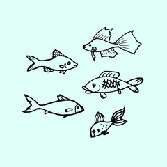 Hand drawn fish. Types of fish.