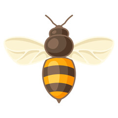 Illustration of honey bee. Image for food and agricultural industry.