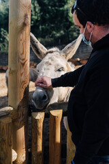 Young farmer caressing a donkey