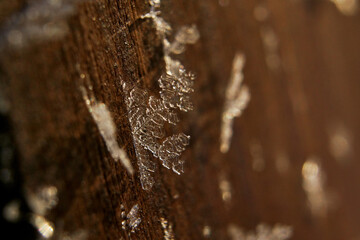 Snowflakes grown on a wooden surface in winter. Frozen snow in morning sunlight.