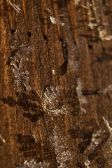 Snowflakes frozen on a wooden surface. Macro of frozen snow in the morning sunlight.