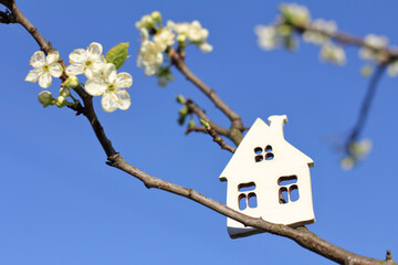 symbol of a house and a branch of a flowering fruit tree against the blue sky. seasonal property...