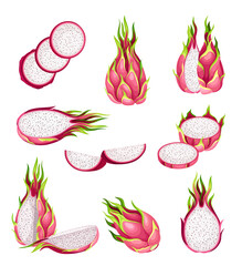Pitaya or Pitahaya Fruit of Cactus Species with White Flesh and Black, Crunchy Seed Vector Set