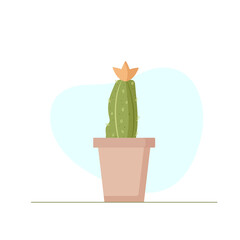 cactus with orange flower in brown pot