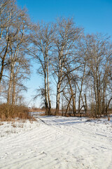 country road in the snow against the blue sky