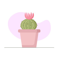 cactus with a pink flower in a pink pot