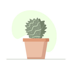small cactus in a brown pot