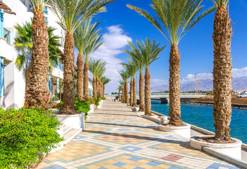 Walking promenade among palms near the Red Sea, Middle East - 488629548