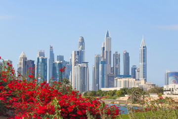 Obraz premium Modern Dubai skyline with flowers in foreground, Colorful red flowers frame the view of Dubai’s modern skyscrapers under clear blue sky, combining nature and urban architecture beautifully.