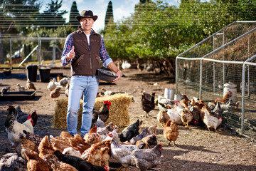 man feeding chickens on hen farm