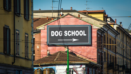 Obraz premium Street Sign to Dog School
