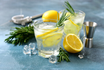 Delicious lemon cocktail with rosemary in a glasses.