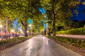 Fototapeta na wymiar City park at night