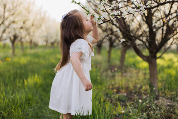 Side view of pretty female kid in white dress smelling spring blossom of apple tree. Caucasian...