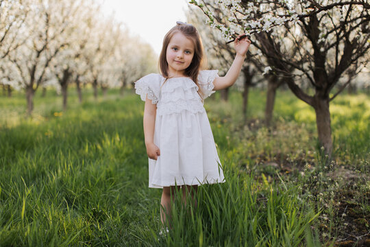 Pleasant caucasian child wearing stylish white dress standing among spring garden with blooming apple trees. Concept of childhood, leire time and seasonal beauty.