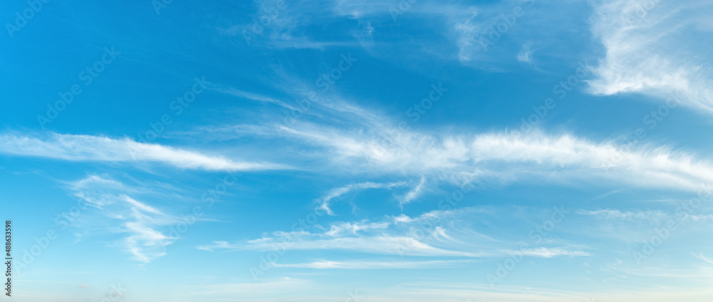 Wall mural sparse translucent cirrus clouds high in the clear blue sky. wide panorama of azure heaven with whit