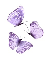 Violet butterflies watecolor illustration isolated on white background