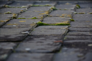Toiture en ardoise - Démoussage 