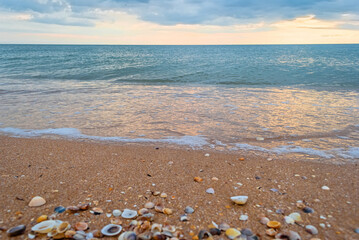beach and sea