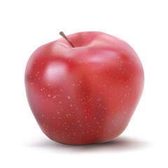 Vector red apple on white background
