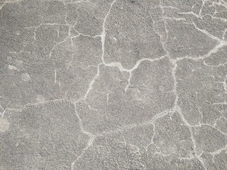 detail of white lines on a concrete floor. background texture