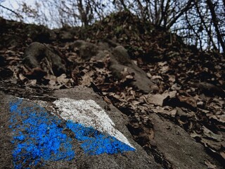 Oznaczenie niebieskiego szlaku na kamieniu