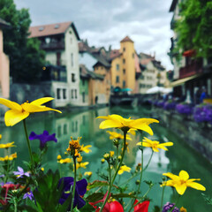 Flowers in Annecy on the bridge