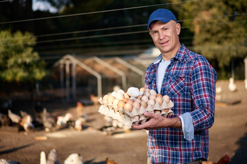 portrait of man on chicken farm