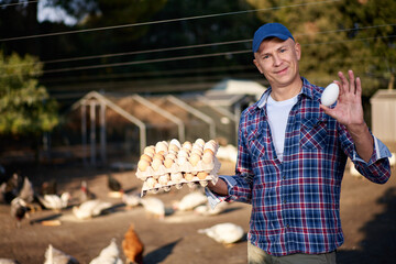 man holding goose egg at poultry farm © JENOCHE