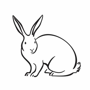 Outline rabbit graphic image. Hand drawn hare black isolated on white backgroud. Animal pet illustration