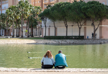 Rear view of a man and woman couple sitting on the steps of a lake with ducks.