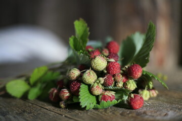 wild strawberries