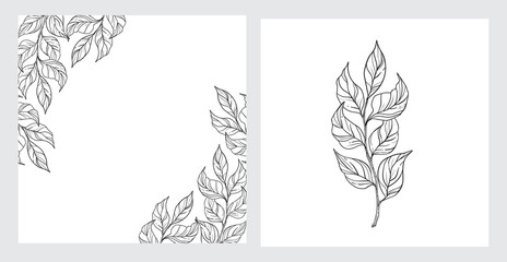 floral decor of hand-drawn twigs with leaves. isolated plant element in engraving style. leaf frame template with place for text. vector twig