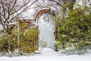 Garden gate in the snow - Wooden with octagan cutout in brick fence with arch and green bushes but bare winter branches behind.