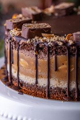 Chocolate cake decorated with nuts on a dark background