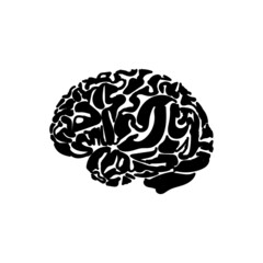 big brain, big thoughts, big ideas