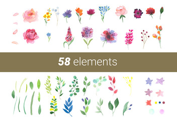 Set of watercolor flowers and leaves on a white background.