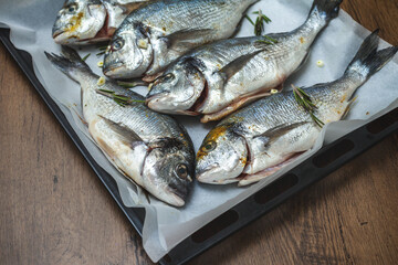 Fresh dorado fish on a baking sheet, ready for baking in the oven